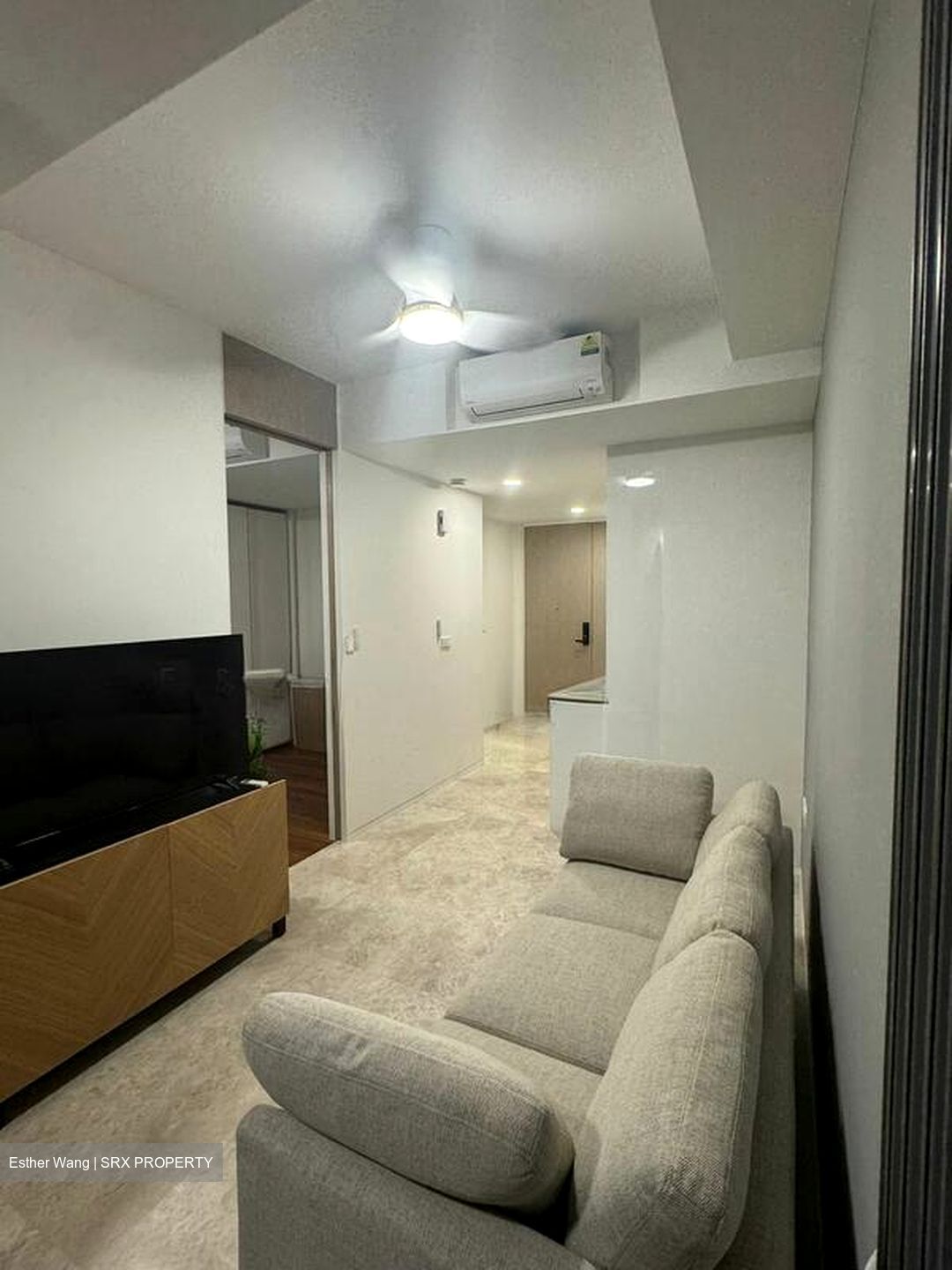 Amber Park (D15), Condominium #503564651